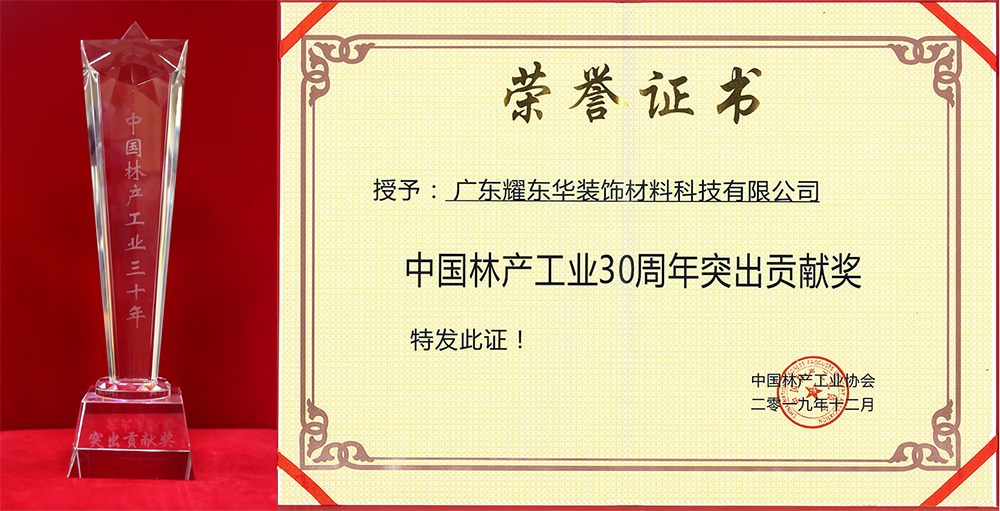 突出貢獻(xiàn)獎(jiǎng)1.jpg